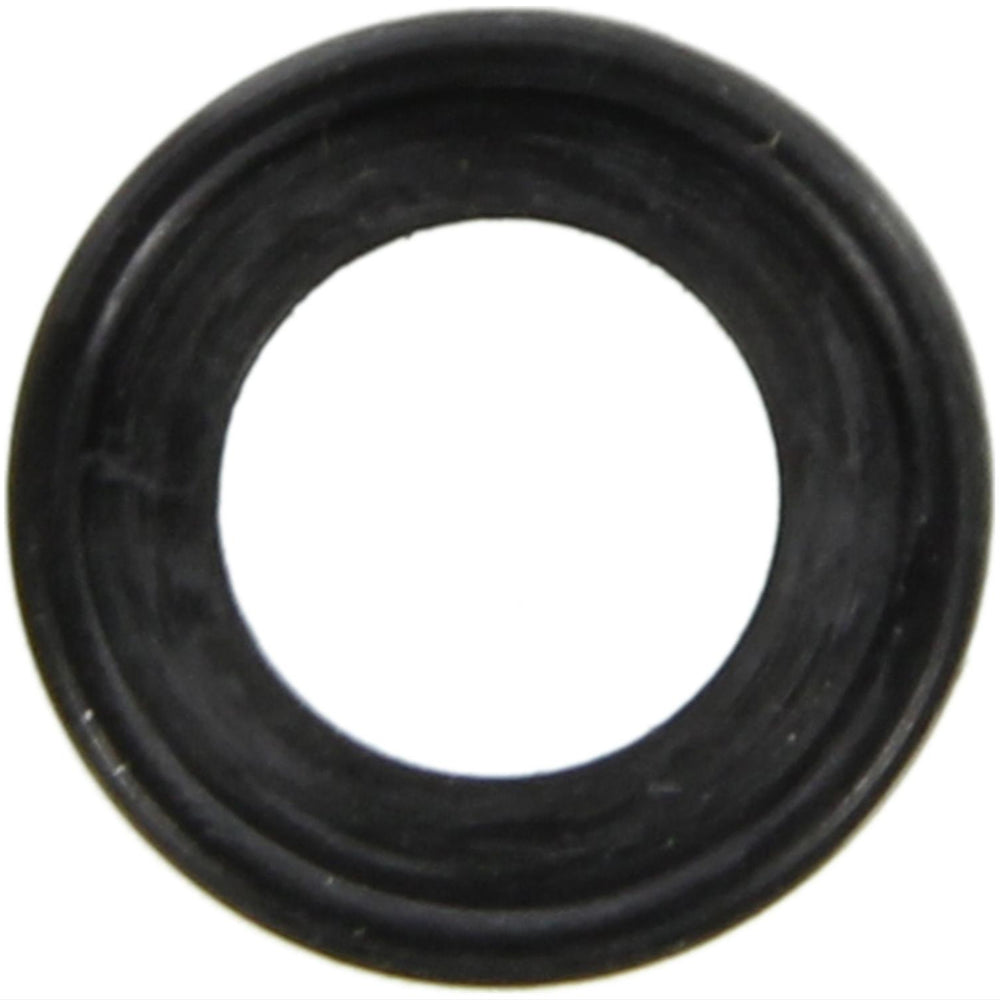 Oil Pan Drain Plug Gasket