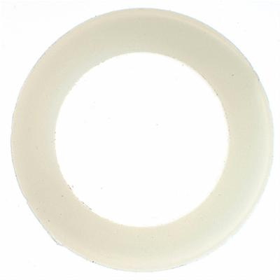 Oil Pan Drain Plug Gasket